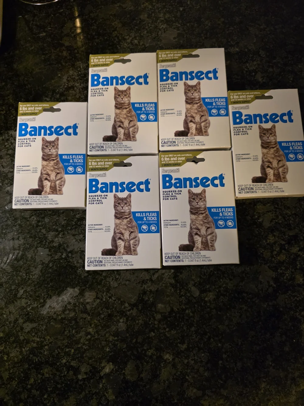 6 MONTH SUPPLY Flea & Tick Treatment for Cats